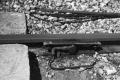 image n31_5_5