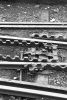 image B006